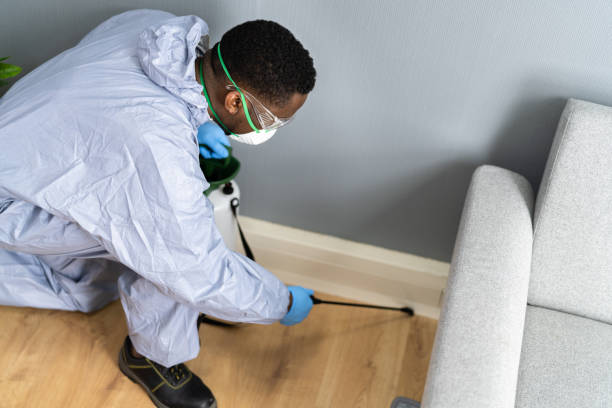 Emergency Pest Control Services in White Pigeon, MI